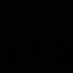 Meet your Posher, Damian